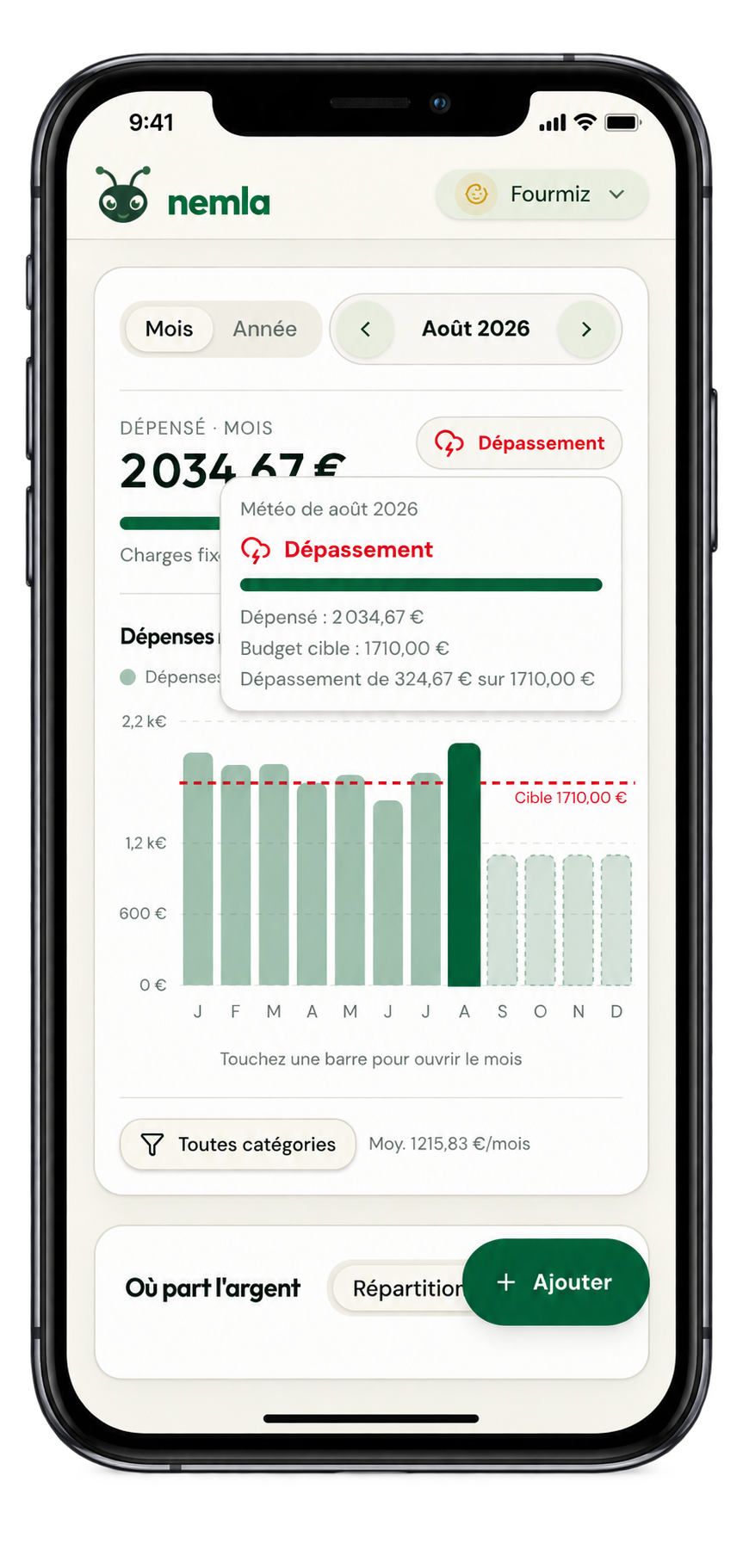 Tableau de bord nemla avec dépenses mois par mois