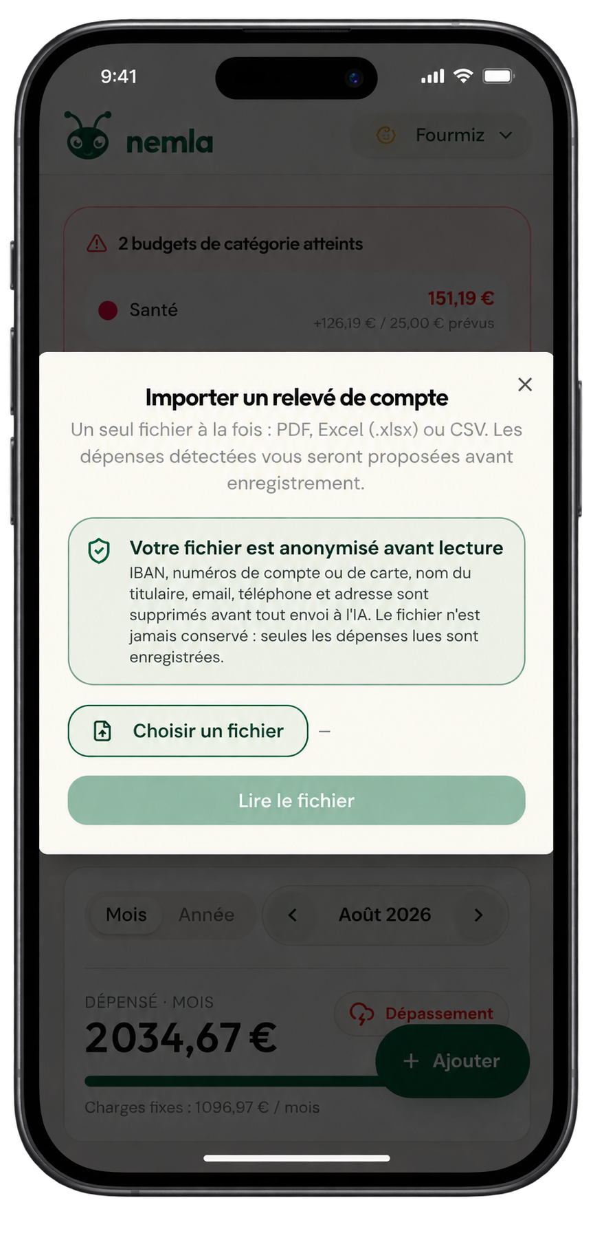 Import d'un relevé de compte dans nemla